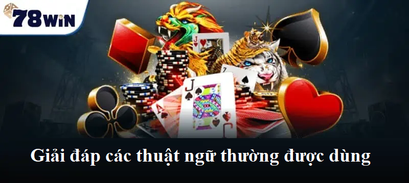 Giải đáp các thuật ngữ thường được dùng